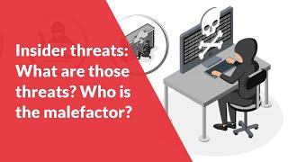 Insider threats: What are those threats? Who is the malefactor?