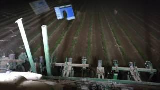 organic soybeans cultivation- John deere 8310r