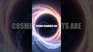 Decoding the Infinite Expanses of the Cosmic Web