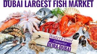 Waterfront Market | Deira Fish Market-Dubai ( Vlog 34 )