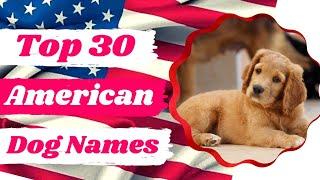 Top 30 Best American Male and Female Dog Names With Meaning 2021 ! Unique Dog Names