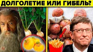 ЗАЧЕМ ЗАПРЕТИЛИ РЕПУ ? 7 фактов которых не знают даже врачи - репа