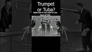 Biggest trumpet 