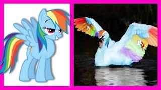 МОЙ МАЛЕНЬКИЙ ПОНИ В ВИДЕ ЛЕБЕДЕЙ / MY LITTLE PONY as SWANS !!!