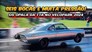 Seis bocas e muita pressão! Os Opala da TTA   No VELOPARK 2024.