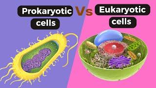 Prokaryotic cell  Vs Eukaryotic cells|| Difference between prokaryotic and eukaryotic cell