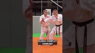 Bunkai #karate