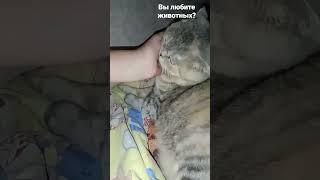 Водные процедуры