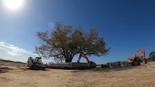 Wellen Park Heritage Tree Relocation Program