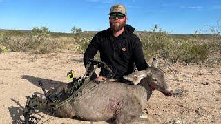 WEST TEXAS MULE DEER W/ GRIM REAPER PRO SERIES 1 3/8”