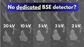 Is a dedicated BSE detector truly necessary for BSE only SEM imaging?