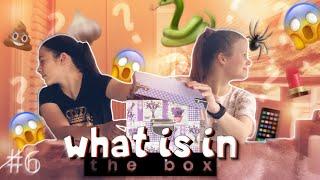 Arina Stone// What is in the box??/ ft. Artemis