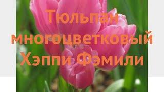 Тюльпан многоцветный Хэппи Фэмили (tulipa)  обзор: как сажать, луковицы тюльпаны Хэппи Фэмили