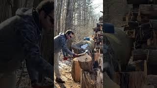 I am the splitter today. #firewood #woodchopping #axe #shortsfeed #dadlife #youtubeshorts #shorts