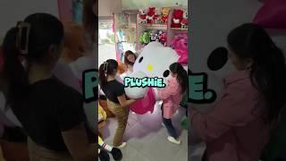 Your birthday is coming up! Which PLUSHIE do you want as a gift? 