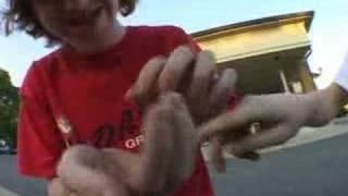 goof the lady bug killer