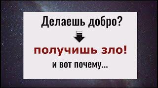 Такой наглости вы ещё не видели. Почему делая добро - получаешь зло