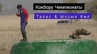 Кокбору Чемпионаты/ Талас & Ыссык Көл 