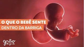 EVOLUÇÃO DO BEBÊ NA GRAVIDEZ SEMANA A SEMANA