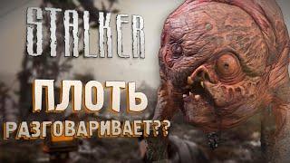 [S.T.A.L.K.E.R.] ОБЗОР НА ПЛОТЬ