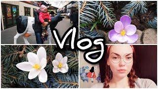 Vlog КАНИКУЛЫ//ИГРАЕМ с детьми//СТРАШНЫЙ СЛУЧАЙ//ДАРЫНОК КИЕВ