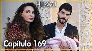 Hercai - Capítulo 169