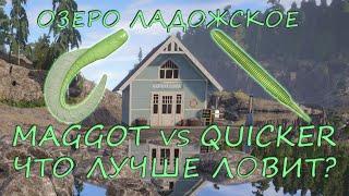 Русская рыбалка 4. Озеро Ладожское. Фарм. Спиннинг. Тест. Палия. Техасская оснастка.