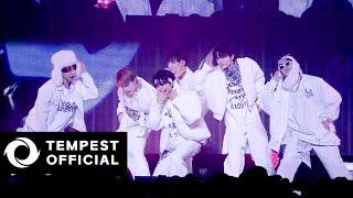 TEMPEST - 'Bubble Gum' Live Stage｜2024 JAPAN CONCERT