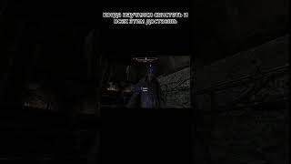 когда научился свистеть  #приколы#skyrim #shorts #short