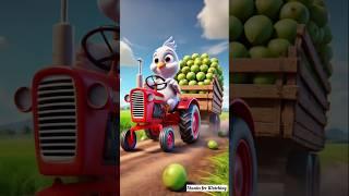 Big pigeon plants a coconut tree and then the farmer drinks all the coconut water  #ai​ #pigeon