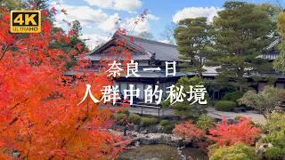 【Nara VLOG】Classic One-Day Nara Itinerary! Discover Hidden Gems on the Main Route