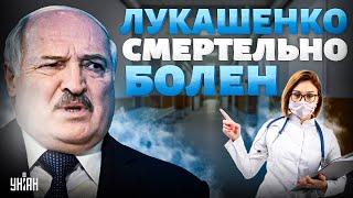 Распухшего Лукашенко НЕ УЗНАТЬ! Новые кадры рвут интернет: дружек Путина смертельно болен