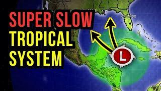 Tropical System is Very Slow....