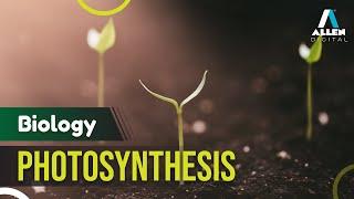 Photosynthesis in Plants | Light Reaction | Biology | English | Recorded Course | ALLEN Digital