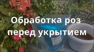 Обработка роз перед укрытием. Питомник растений Е. Иващенко