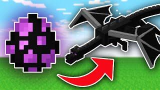 You Can Now Summon The Ender Dragon With It's Egg!