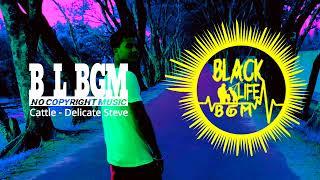 Cattle - Delicate Steve | Rock Dark Music | No Copyright Music | Black Life BGM