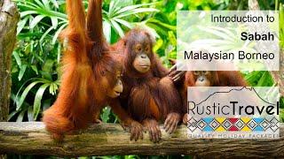 Introduction to Sabah, Malaysian Borneo - Rustic Travel