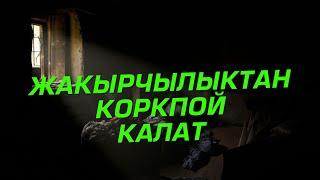 Бул аяттарды түшүнгөн адам жакырчылыктан коркпойт!