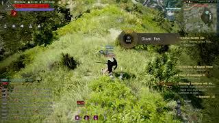 Black Desert crit black spirit energy while    hunting