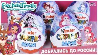 Киндер ️Enchantimals️ теперь и в России! Kinder MAXI Сюрприз | НОВИНКА 2020