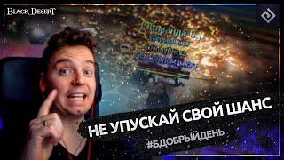 Не упускай свой шанс! | #бдобрыйдень № 16 | Black Desert моменты