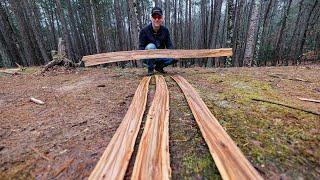 I Bought WoodMizer LX55 Sawmill and Love it! Milling Logs into Gorgeous Slabs, I'm Very Surprised!