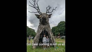 Evil Deer is going to kill us all