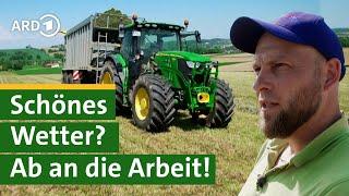 Mega Stress für Bauer Georg: Säen bevor Regen kommt! Hofgeschichten #2 | Sommer | Unser Land | BR