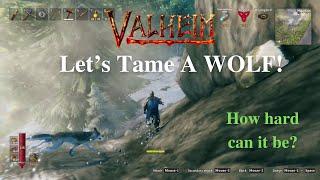 Taming A Wolf in the Mountains: Valheim SOLO Ashlands 2024 Gameplay (Ep21)