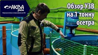 Обзор системы УЗВ на 19 кубов, 1 тонну осетра