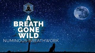 A Breath Gone Wild | Holistic  Breathwork | Guided Breathing Meditation
