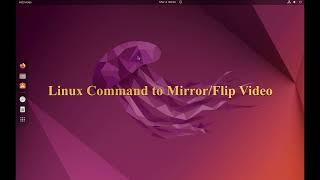 How to Mirror your Video (Flip Horizontally) in Ubuntu Linux (Single command or Use graphical tool)