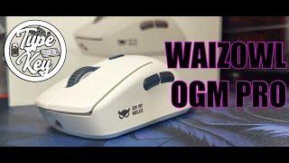 ОБЗОР WAIZOWL OGM PRO (ХОРОШАЯ ЭРГО МЫШЬ)